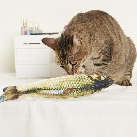 2 Pcs Catnip Fish Toy