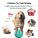 Dog Tooth Cleaning Ball