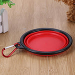 Collapsible Dog Bowl