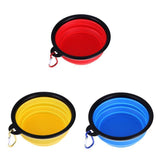 Collapsible Dog Bowl